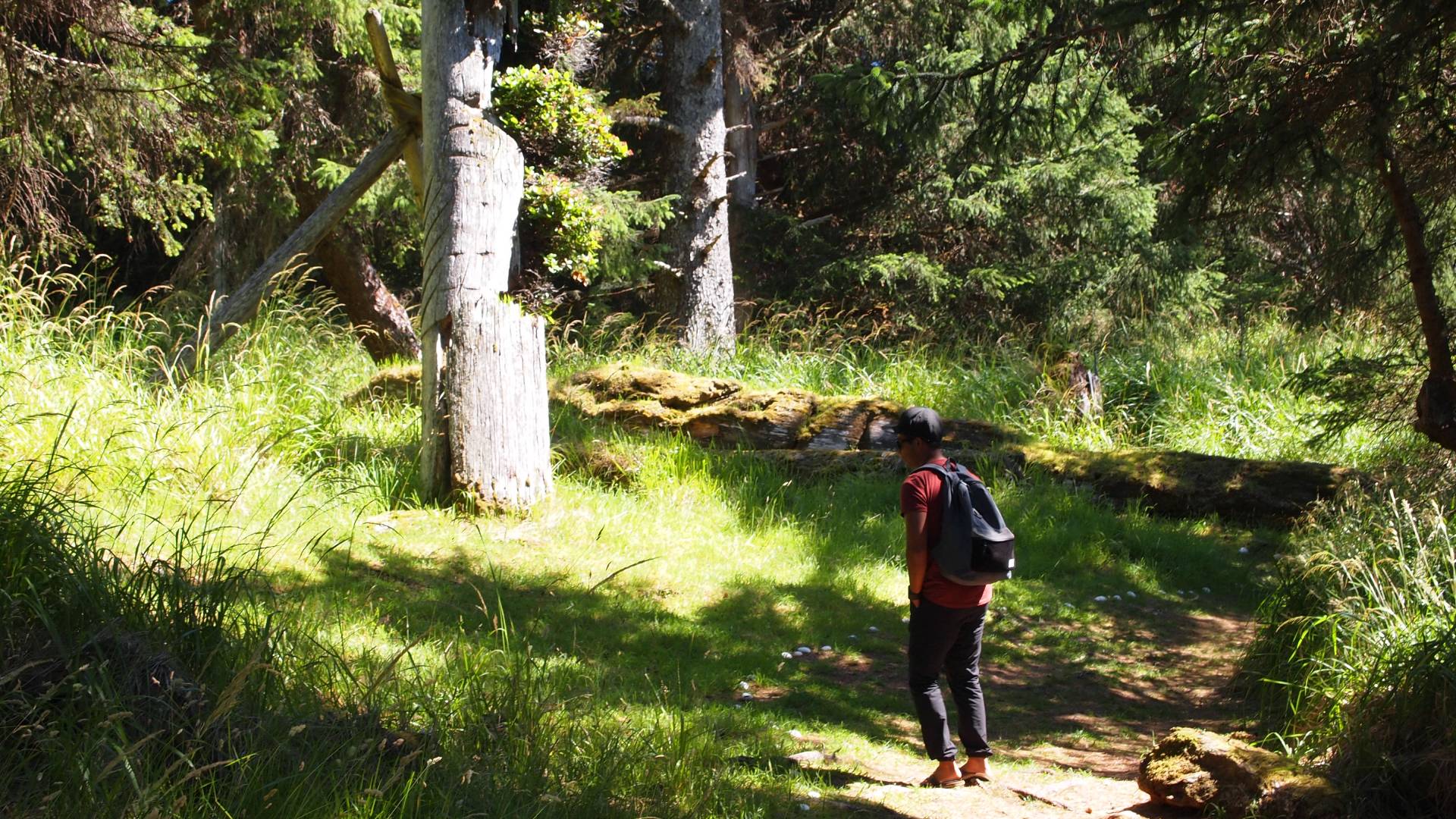 A man is seen walking through a dense forest on a trail, surrounded by tall pine trees and lush green grass. He is carrying a backpack on his back and wearing a hat to shield himself from the sun. The man appears to be enjoying a peaceful hike as he explores the natural beauty of the forest. The sun filters through the canopy of trees, casting dappled light on the ground. The scene exudes a sense of tranquility and adventure, capturing the essence of outdoor exploration and connecting with nature.